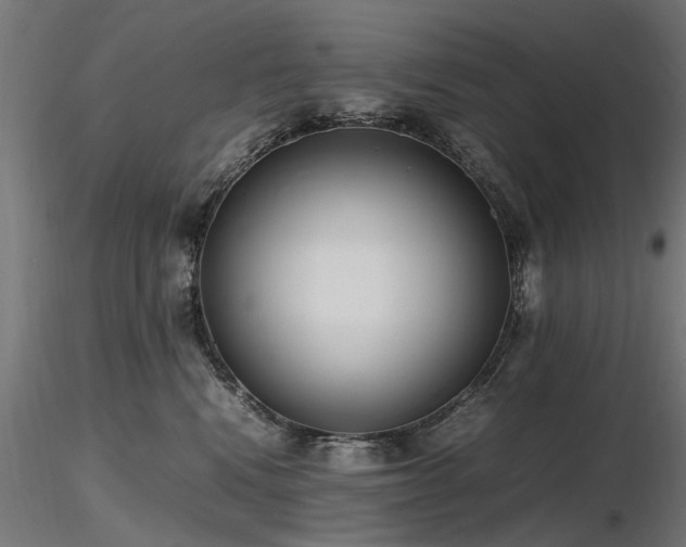 X0000116580472200912101544