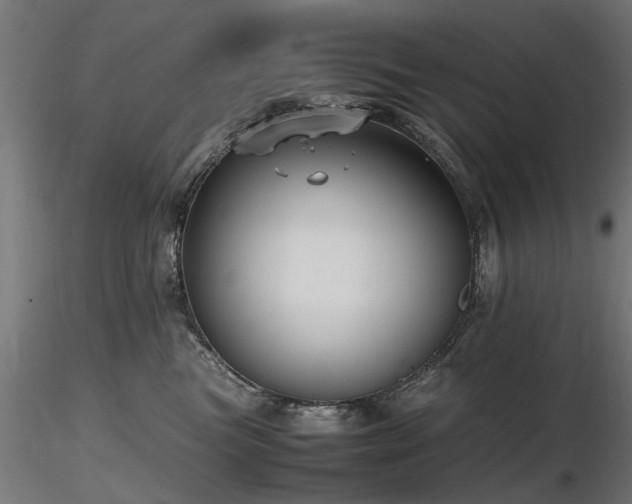 X0000116580473200912101544