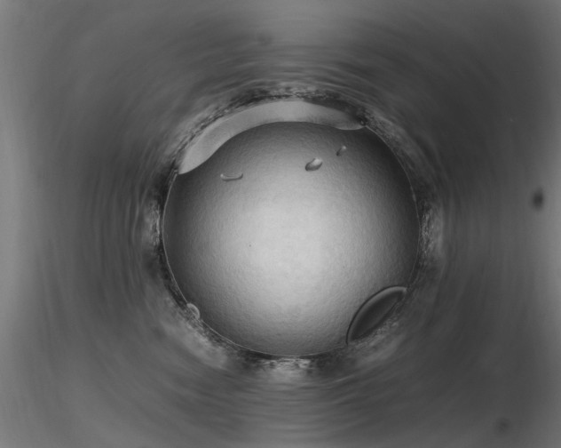 X0000116580474200912101544