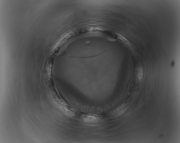 X0000116580475200912101544