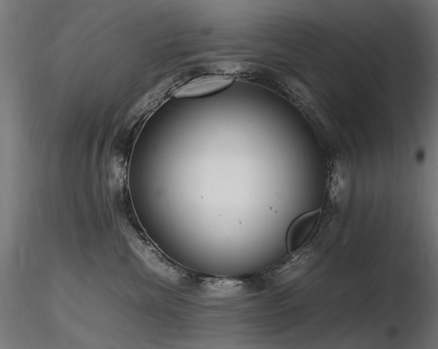 X0000116580476200912101544