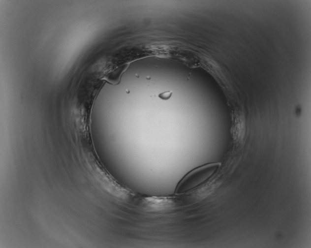 X0000116580477200912101544