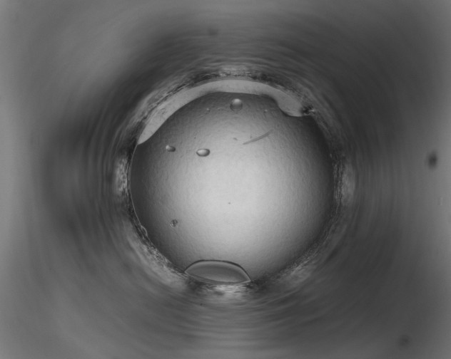 X0000116580478200912101544