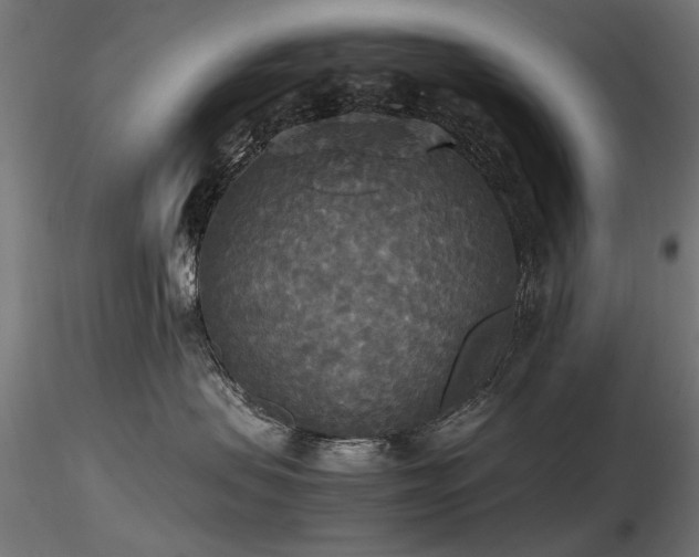 X0000116580479200912101544