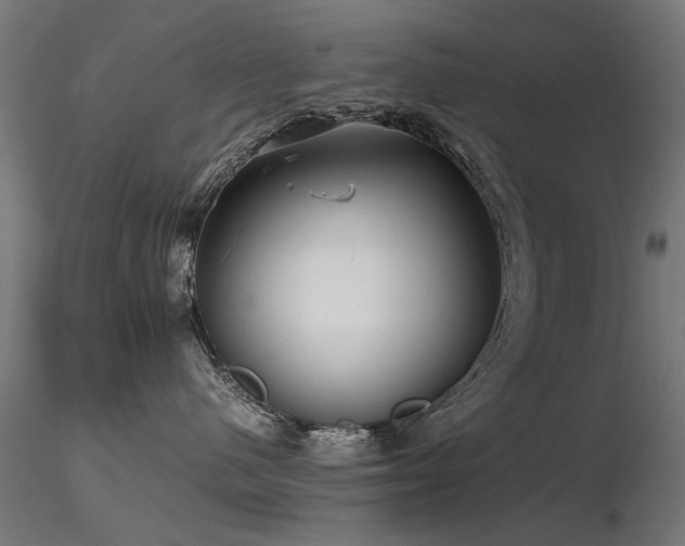 X0000116580480200912101544