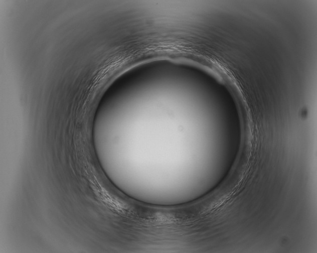 X0000116580481200912101544