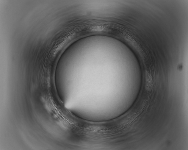 X0000116580482200912101544