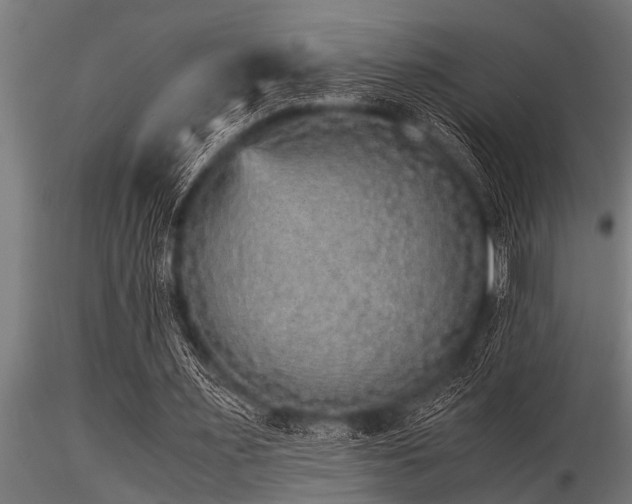 X0000116580483200912101544