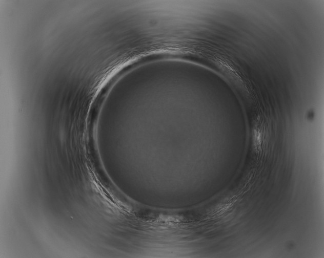 X0000116580484200912101544