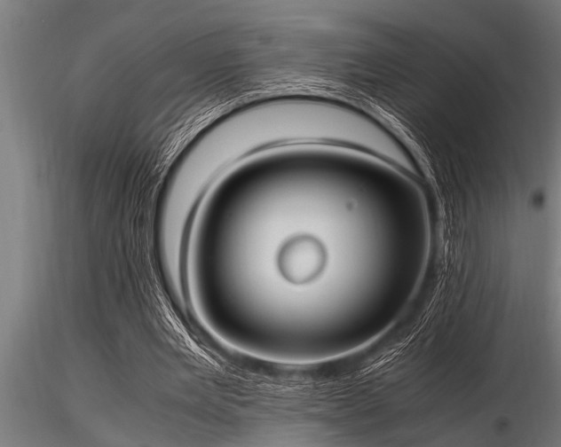 X0000116580485200912101544