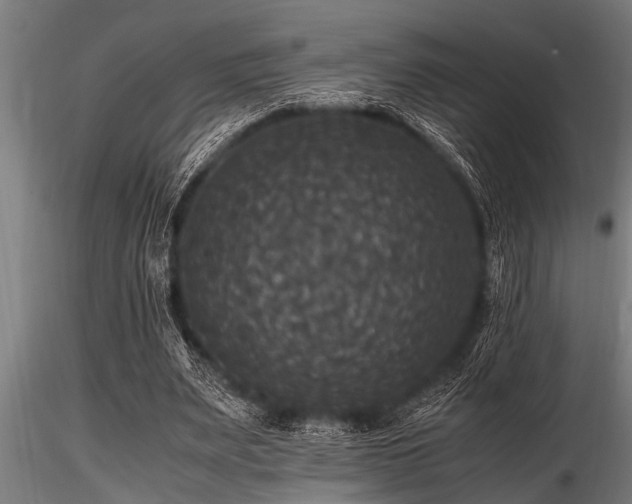 X0000116580487200912101544