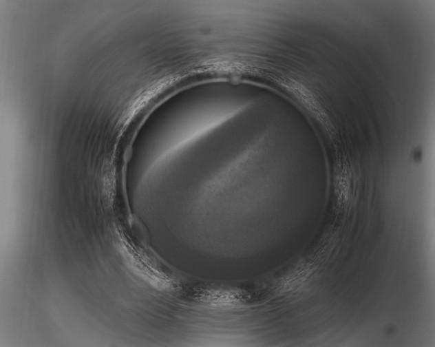 X0000116580488200912101543