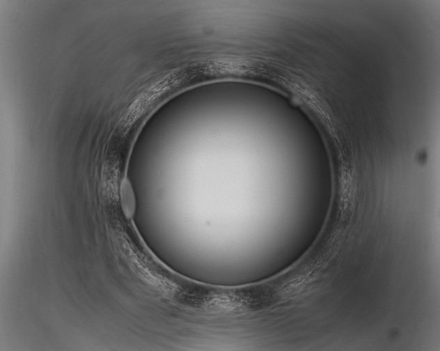 X0000116580489200912101543