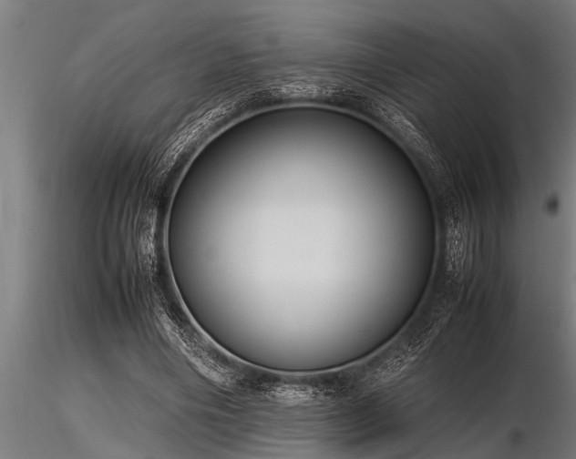 X0000116580490200912101543