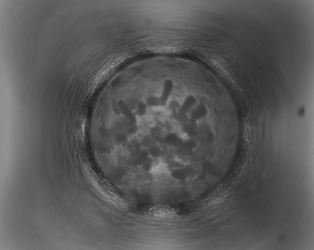 X0000116580491200912101543