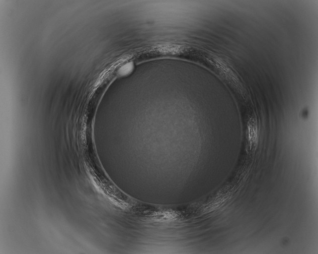 X0000116580492200912101543