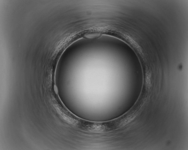 X0000116580493200912101543