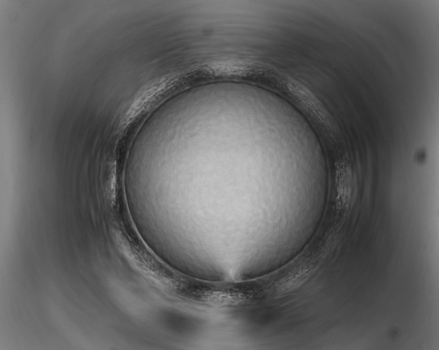 X0000116580494200912101543