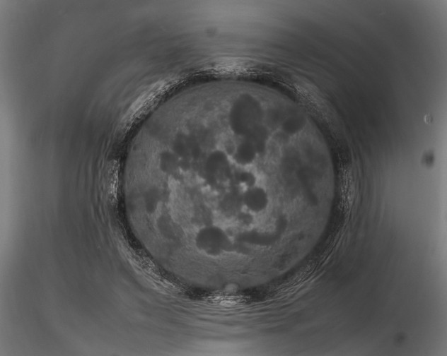 X0000116580495200912101543