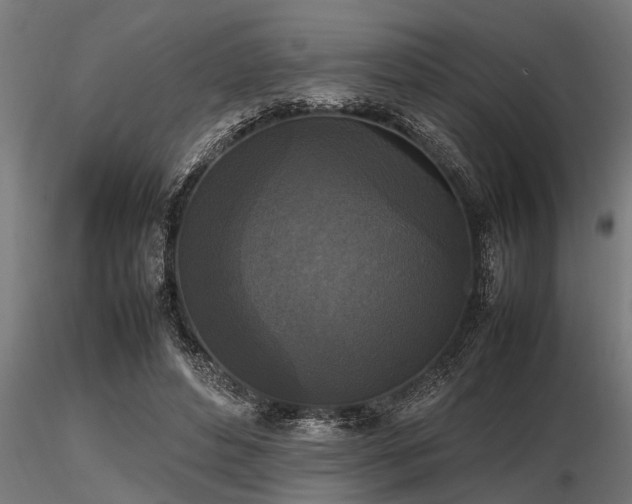 X0000116580496200912101543