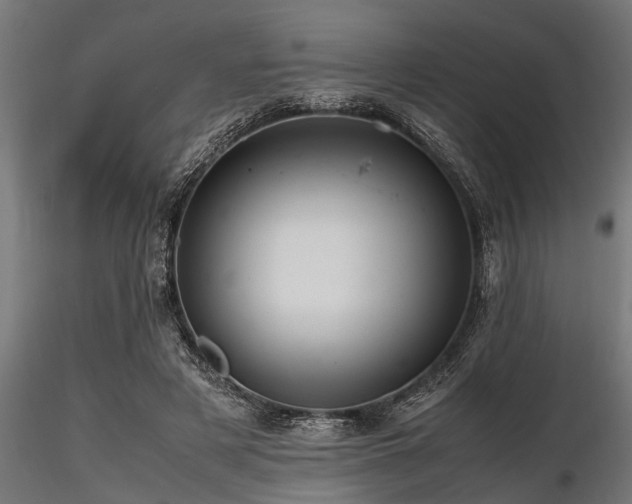 X0000116580497200912101543