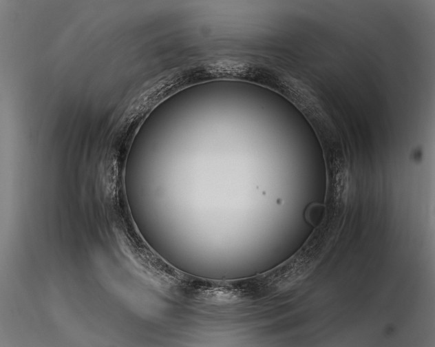 X0000116580498200912101543