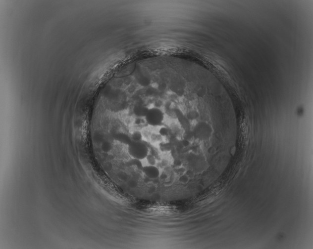 X0000116580499200912101543