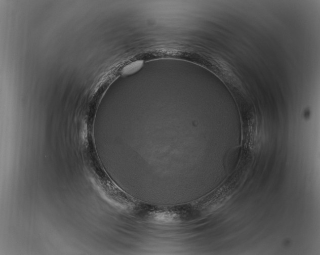 X0000116580500200912101543