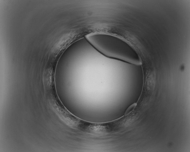 X0000116580501200912101543