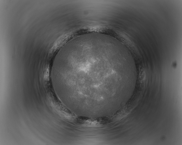 X0000116580502200912101543