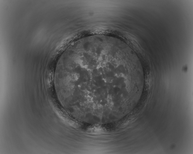 X0000116580503200912101543