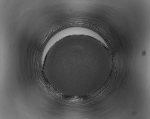 X0000116580504200912101543