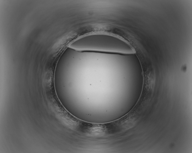 X0000116580505200912101543