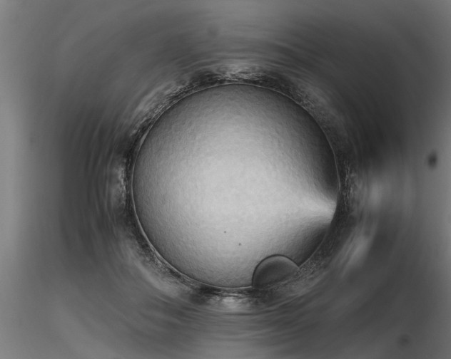 X0000116580506200912101543