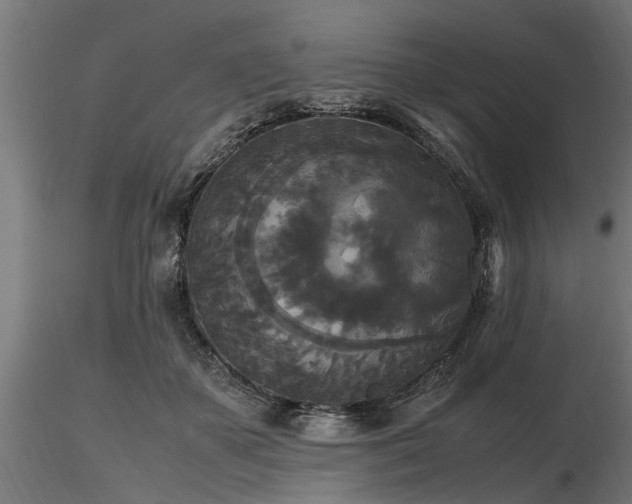 X0000116580507200912101543