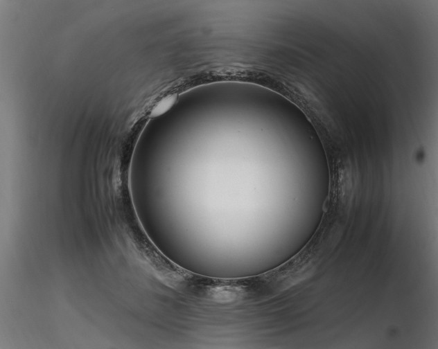 X0000116580508200912101543