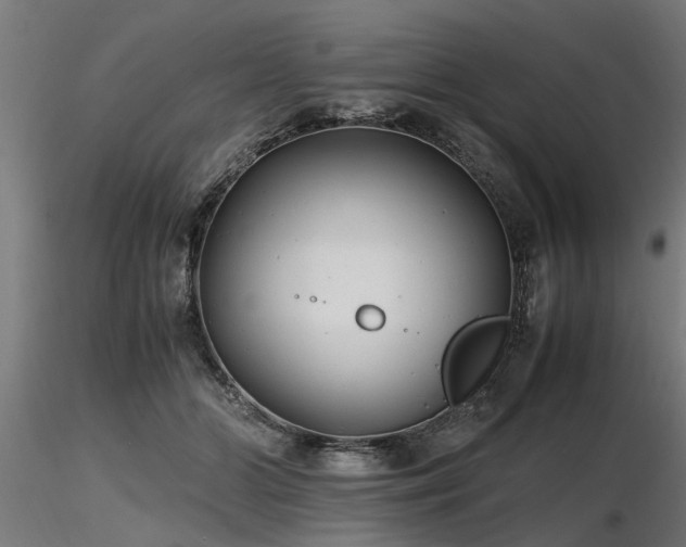 X0000116580510200912101543