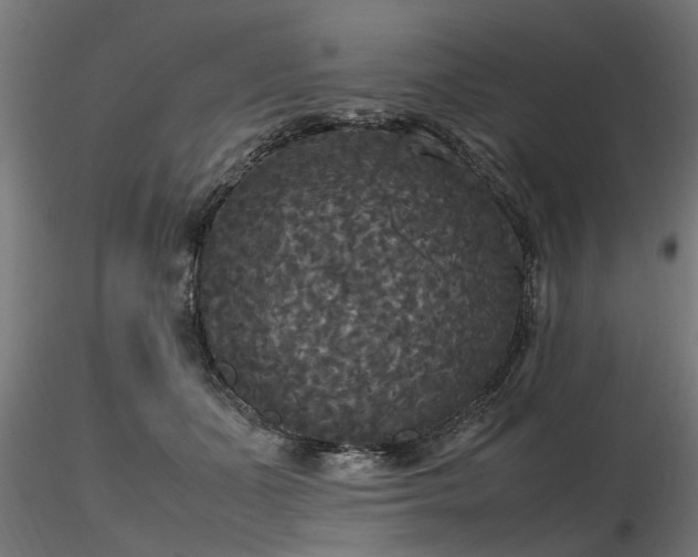 X0000116580511200912101543