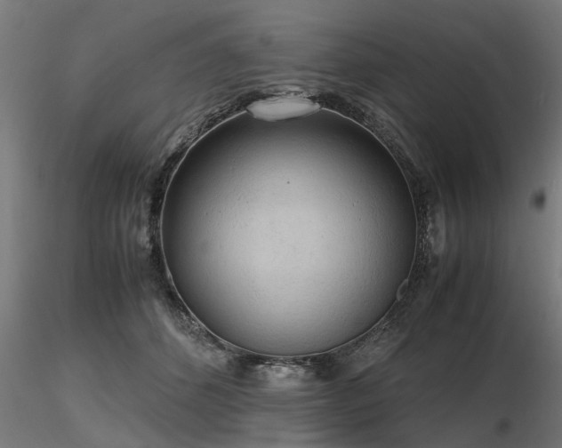 X0000116580512200912101543