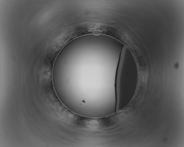 X0000116580513200912101543