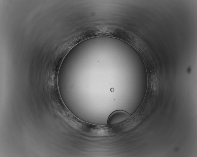 X0000116580514200912101543