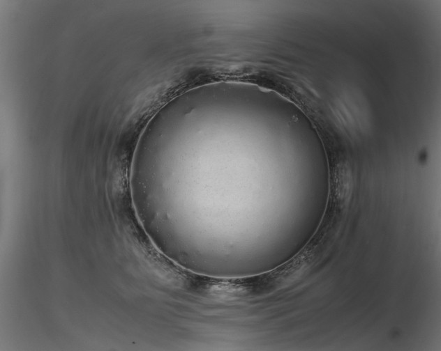 X0000116580515200912101543