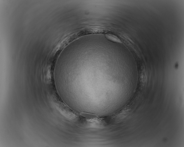 X0000116580516200912101543