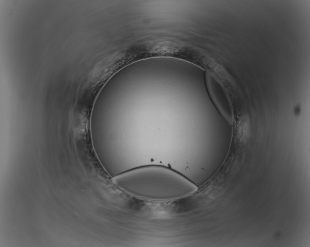 X0000116580517200912101543