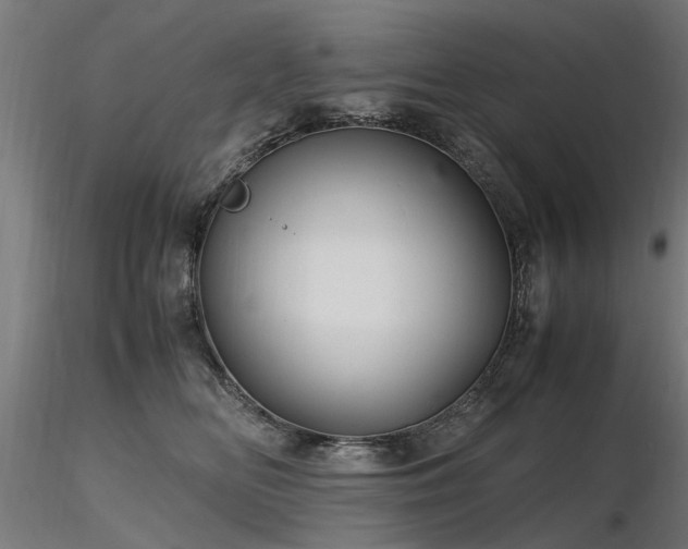 X0000116580518200912101543