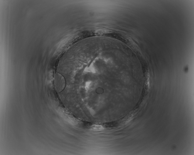 X0000116580519200912101543