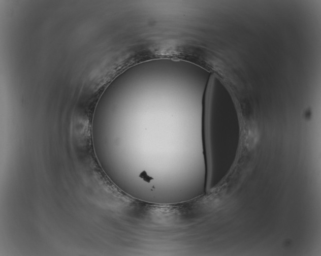 X0000116580521200912101543