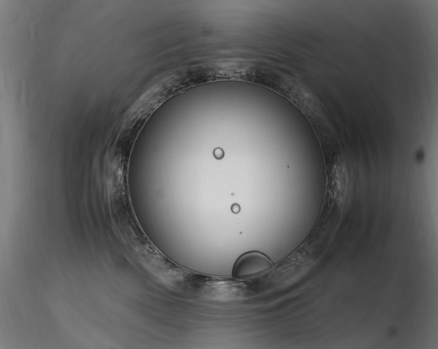 X0000116580522200912101543