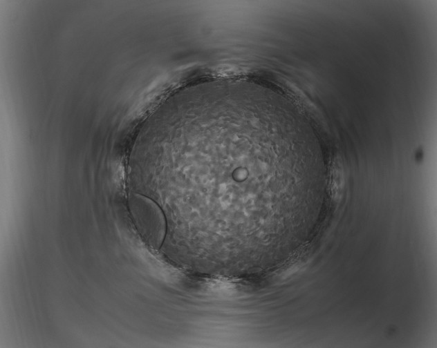 X0000116580523200912101543