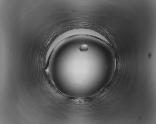 X0000116580524200912101543